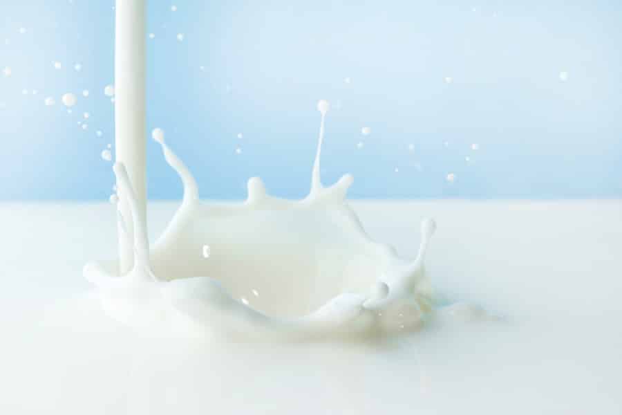 バストアップに牛乳が効くって本当なの？