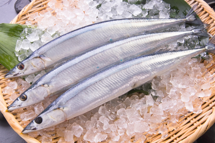 食材や調味料など食べ合わせを考えましょう