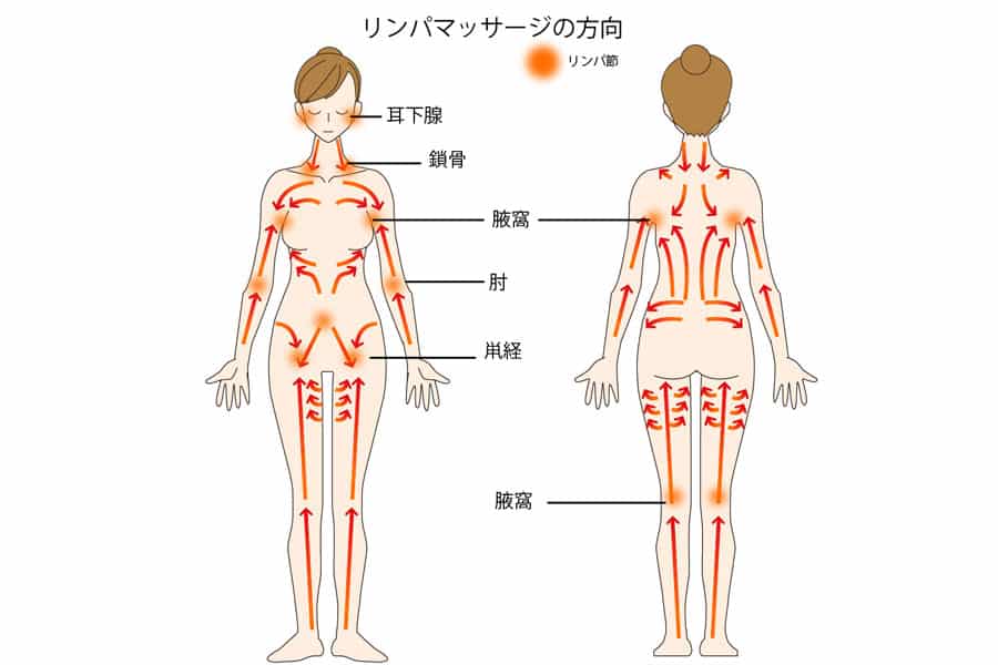 リンパを傷つけないよう優しくマッサージするのがコツ