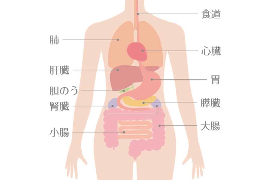 過剰摂取は危険