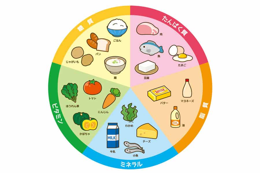 筋肉を育てるテクニック①栄養素