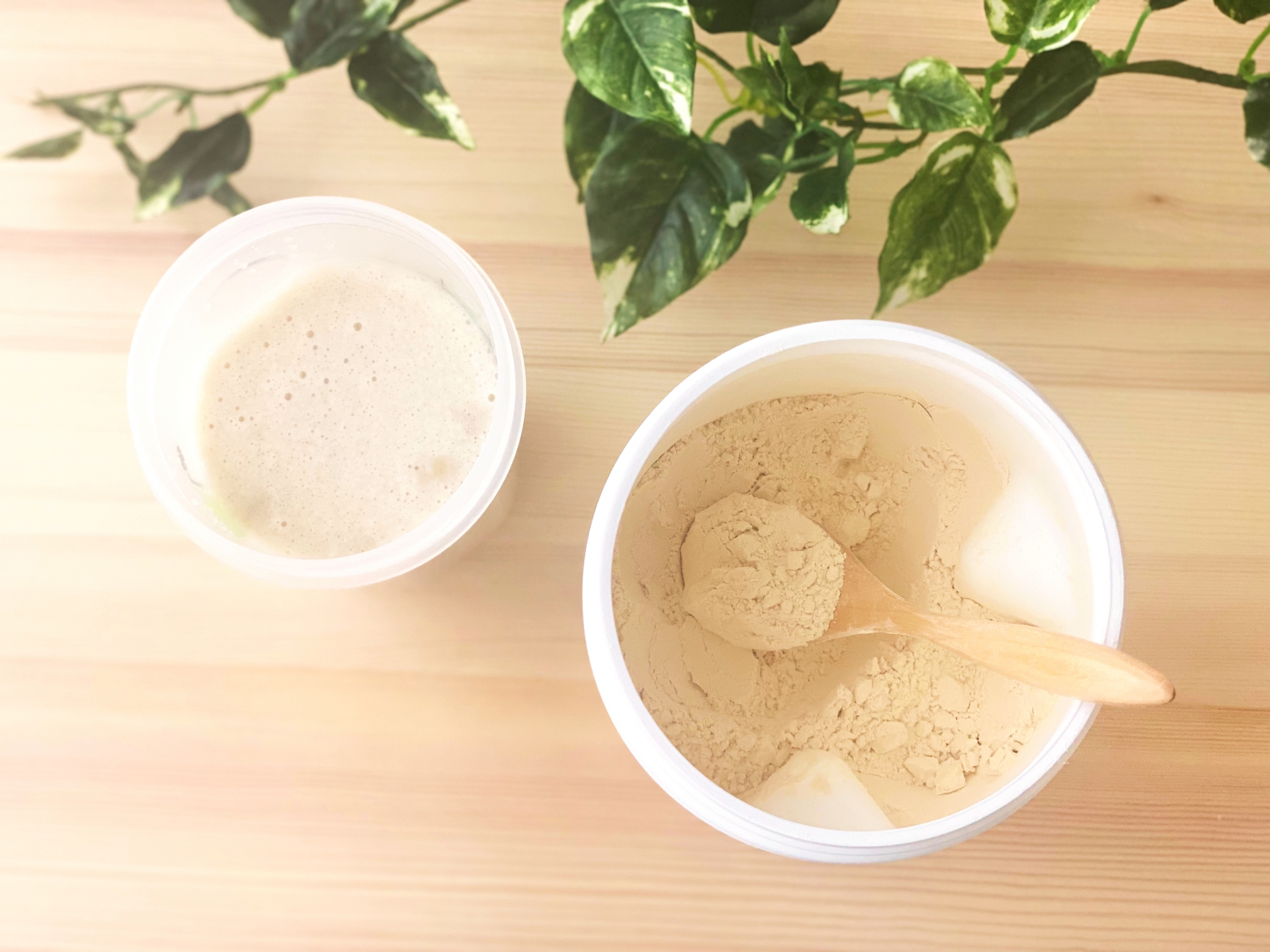 ②大豆イソフラボン